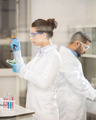 Sterling Accuris case study